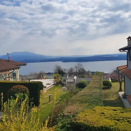 Villa Degli Ulivi